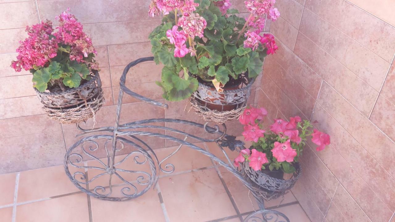 Bravo 24 Lejlighed Fuengirola Eksteriør billede